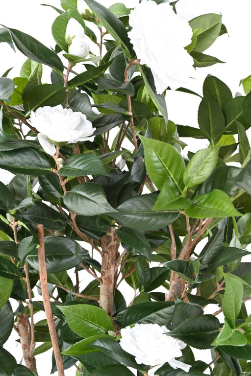 Kunstig Camellia Japonica Træ 12 Blomster 160Cm
