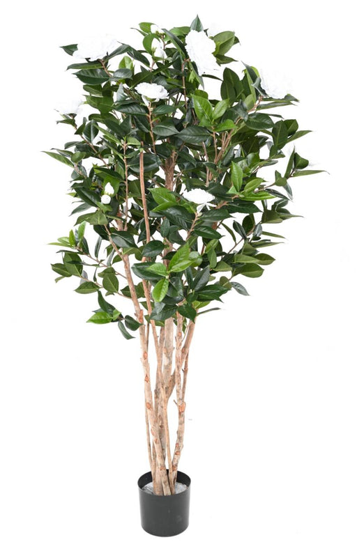 Kunstig Camellia Japonica Træ 12 Blomster 160Cm