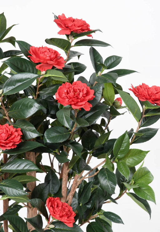 Kunstig Camellia Japonica Træ 130 Cm Rød