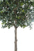 Kunstig Camellia Japonica Træ 300Cm Indvendig Dekoration