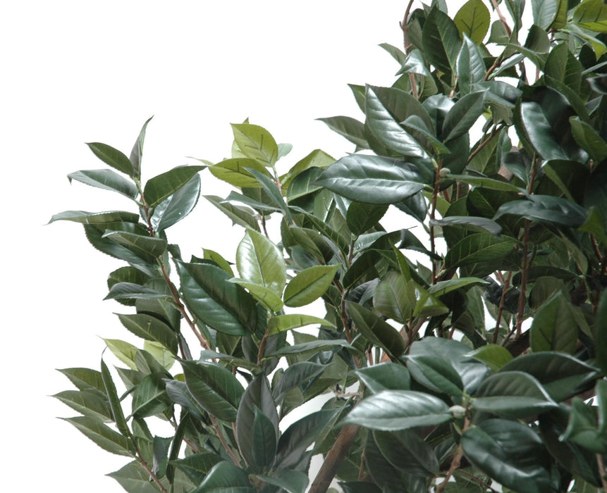 Kunstig Camellia Japonica Træ 300Cm Indvendig Dekoration