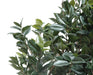 Kunstig Camellia Japonica Træ 300Cm Indvendig Dekoration