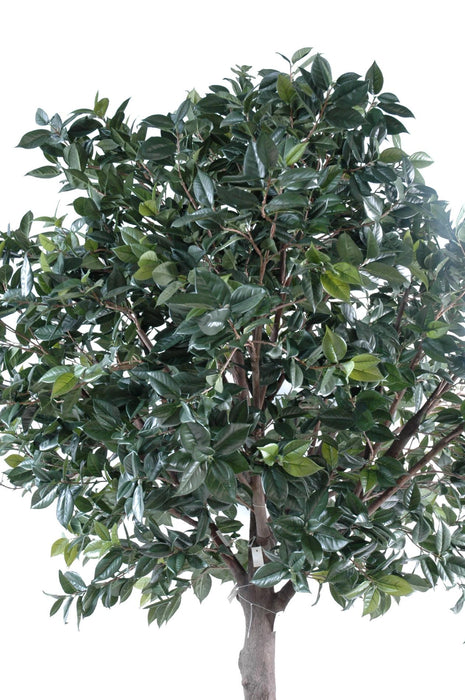Kunstig Camellia Japonica Træ 300Cm Indvendig Dekoration