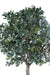 Kunstig Camellia Japonica Træ 300Cm Indvendig Dekoration