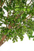 Kunstigt Egetræ 360 Cm Interiør Dekoration