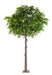 Kunstigt Egetræ Indendørs 300 Cm
