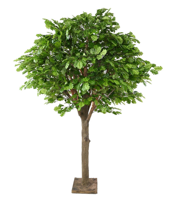 Kunstigt Træ Eg Hoved 210 Cm Indendørs Plante