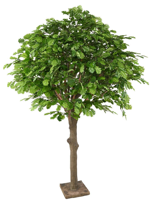 Kunstigt Træ Eg Hoved 210 Cm Indendørs Plante