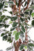 Kunstig Ficus Lianes Træ 210 Cm Indendørs Plante