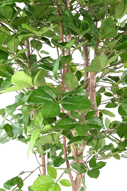 Kunstigt Bøgetræ Grandifolia 190 Cm Dekoration