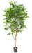 Kunstigt Bøgetræ Grandifolia 190 Cm Dekoration