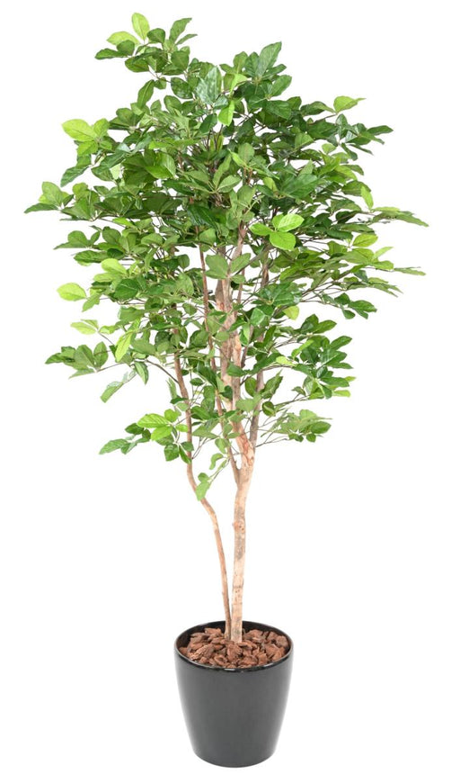 Kunstigt Bøgetræ Grandifolia 190 Cm Dekoration