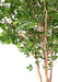 Kunstigt Bøgetræ Grandifolia 350Cm Indvendig Dekoration