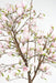 Kunstig Magnolia Tulipan Træ Fra Japan 230 Cm