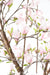 Kunstig Magnolia Tulipan Træ Fra Japan 230 Cm