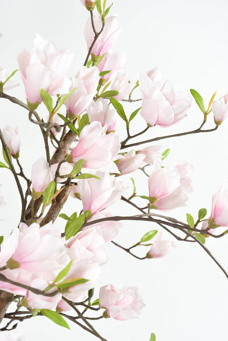 Kunstig Magnolia Tulipan Træ Fra Japan 230 Cm