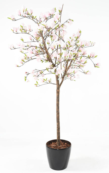 Kunstig Magnolia Tulipan Træ Fra Japan 230 Cm