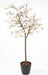 Kunstig Magnolia Tulipan Træ Fra Japan 230 Cm