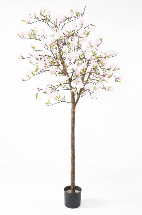 Kunstig Magnolia Tulipan Træ Fra Japan 230 Cm