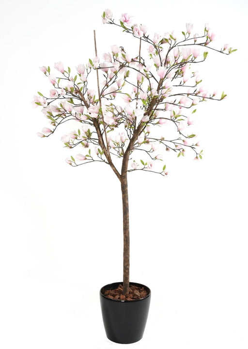 Kunstig Magnolia Tulipan Træ Fra Japan 230 Cm