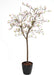 Kunstig Magnolia Tulipan Træ Fra Japan 230 Cm