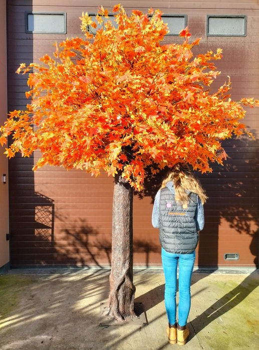Kunstigt Appelsintræ Aralia Ahorn 300 Cm