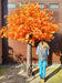 Kunstigt Appelsintræ Aralia Ahorn 300 Cm