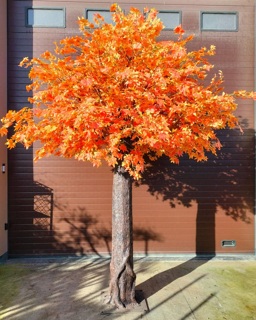 Kunstigt Appelsintræ Aralia Ahorn 300 Cm