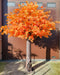 Kunstigt Appelsintræ Aralia Ahorn 300 Cm