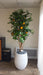 Kunstigt Appelsintræ 180 Cm Med Orange Frugter