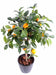 Kunstigt Appelsintræ Indendørs Potte 85 Cm