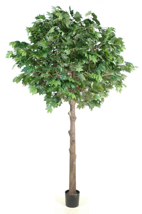 Kunstigt Indendørs Platan 300 Cm