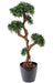 Kunstigt Podocarpus Træ 140 Cm Indendørs Indretning