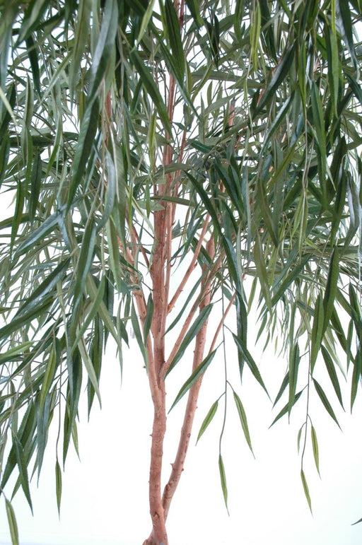 Kunstigt Grædende Piletræ 210 Cm Dekorativ Plante
