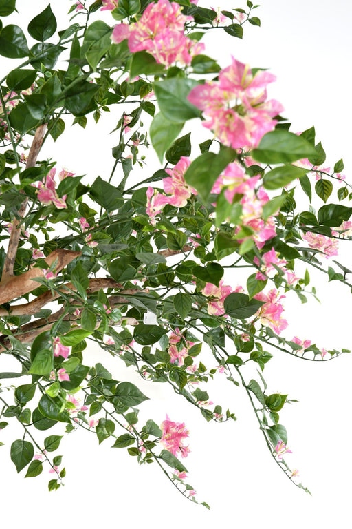 Kunstig Bougainvillea Træ 280 Cm Indendørs Pink