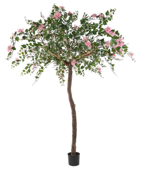 Kunstig Bougainvillea Træ 280 Cm Indendørs Pink