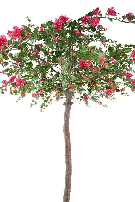 Kunstig Bougainvillea Træ Fuchsia 280Cm