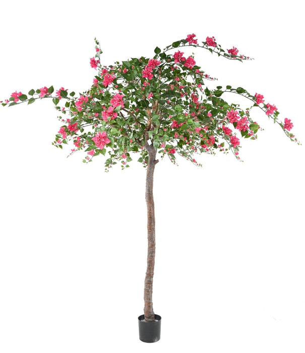 Kunstig Bougainvillea Træ Fuchsia 280Cm