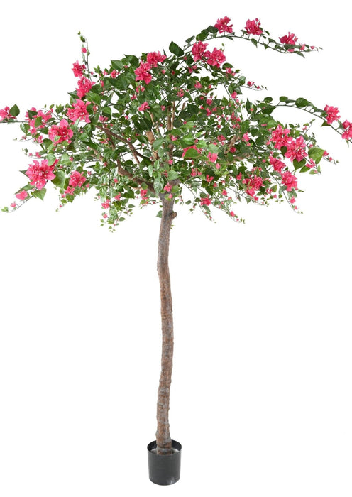 Kunstig Bougainvillea Træ Fuchsia 280Cm