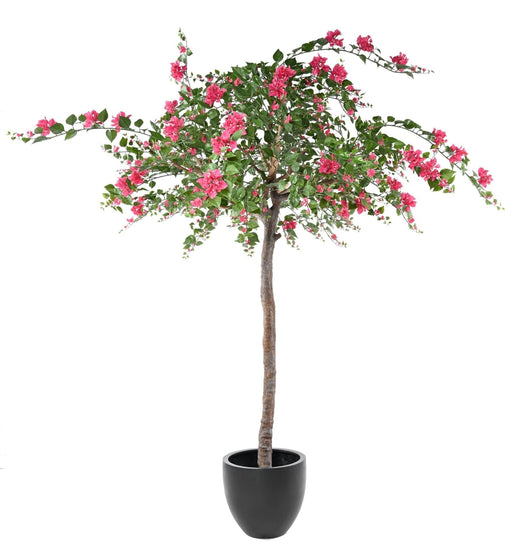 Kunstig Bougainvillea Træ Fuchsia 280Cm