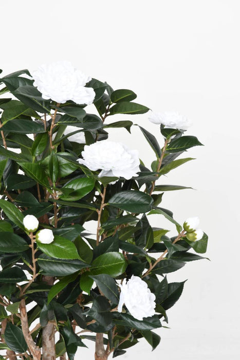 Kunstigt Camellia Træ 130Cm 8 Blomster Indendørs Hvid