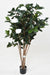 Kunstigt Camellia Træ 130Cm 8 Blomster Indendørs Hvid