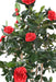Kunstigt Camellia Træ Rød 160 Cm 12 Blomster