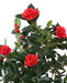 Kunstigt Camellia Træ Rød 160 Cm 12 Blomster