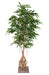 Kunstigt Ficus Træ 210 Cm Indendørs Plante