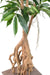 Kunstigt Ficus Træ 210 Cm Indendørs Plante