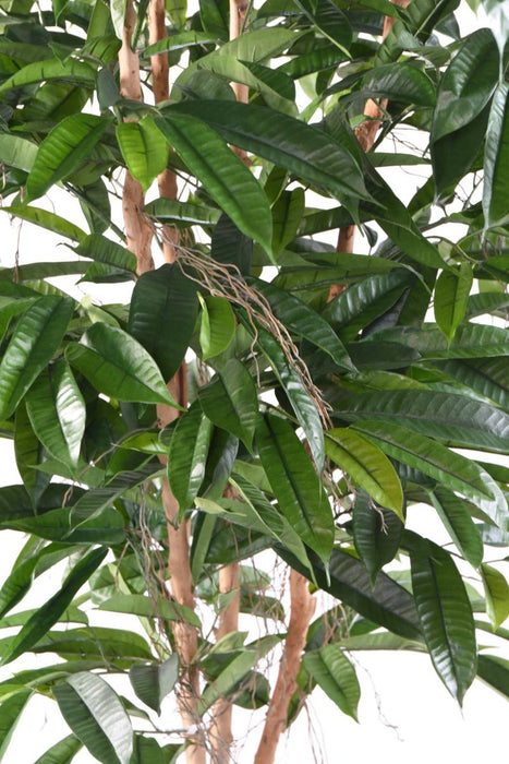 Kunstigt Ficus Træ 210 Cm Indendørs Plante