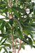 Kunstigt Ficus Træ 210 Cm Indendørs Plante