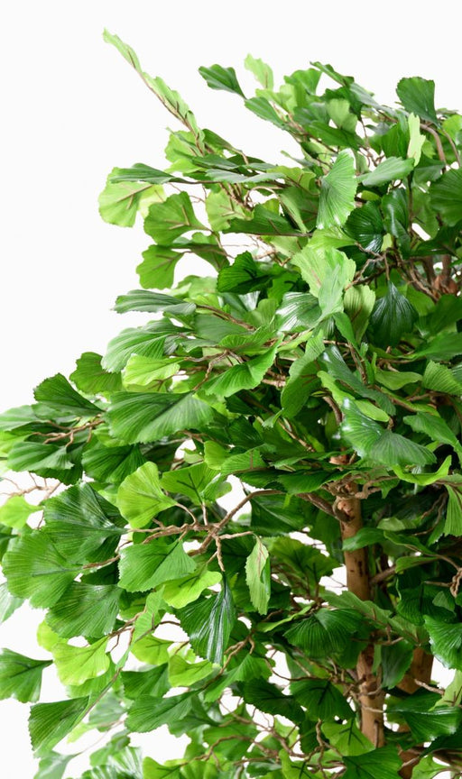 Kunstigt Ginkgo Biloba Træ 135 Cm