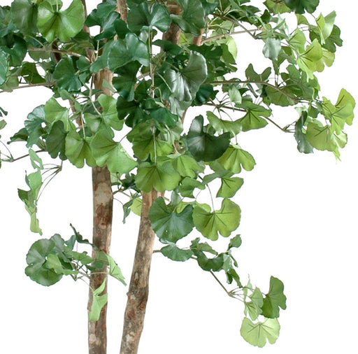 Kunstig Ginkgo Biloba Træ 240 Cm Indvendig Dekoration